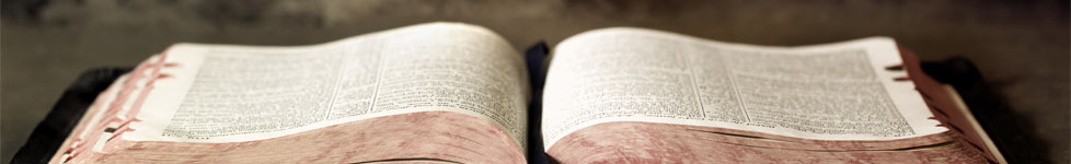 Spotlight On A Bible Verse